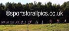 Under-11s, North East Harrier League, Cramlington. Photo: David T. Hewitson/Sports for All Pics